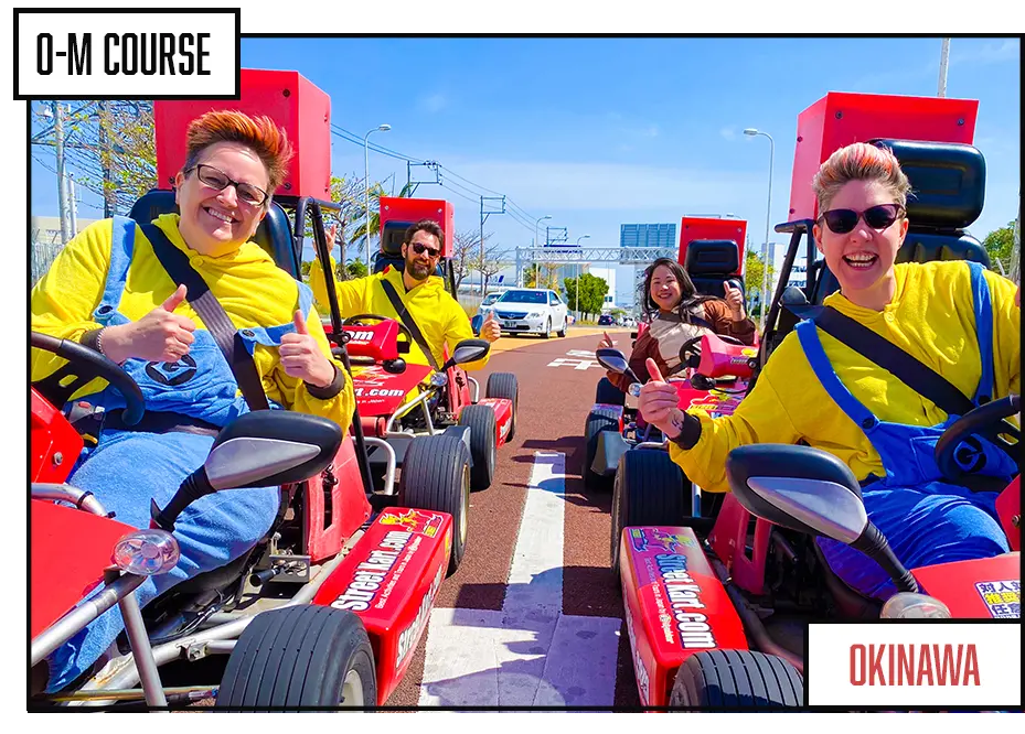 GO-KART JAPAN Tour 2h - Image 2